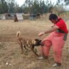 588 - Chaqueta para intervención - Imagen 3